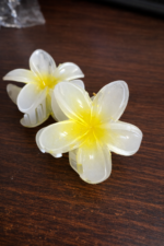 Flower Design Hair Claw Clip – Transparent Finish - Image 2